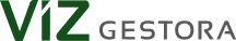 logo vizgestora